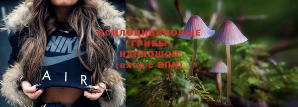стафф Абдулино