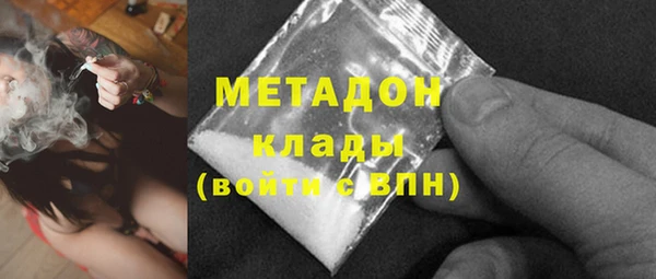 прущие грибы Переславль-Залесский
